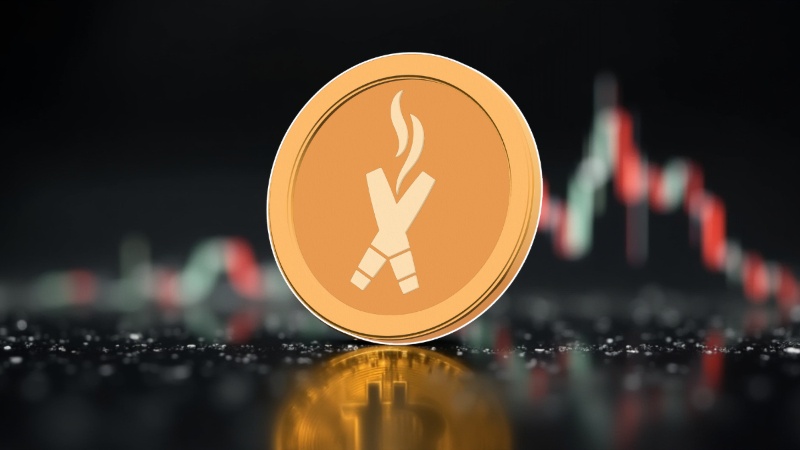 Exploring Top Cryptocurrency Projects in the Market