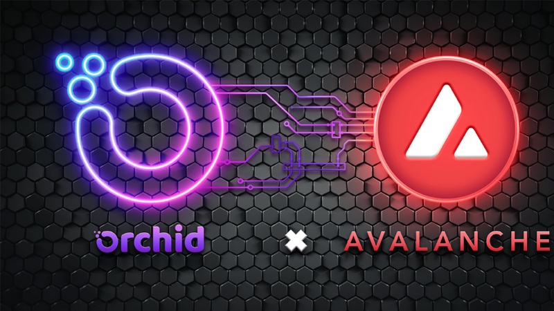 Orchid Integrates Layer 2 on Avalanche: Pay for VPN Service with AVAX