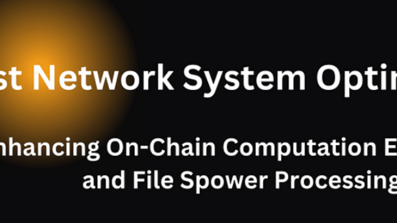 Crust Network System Optimization for Enhanced Efficiency
